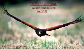 Besides that he is a&r manager at andante piano, sublabel of disruptive records run by his son ivo adelaar. Radio De Rode Adelaar Archivi Myradiowaves Com