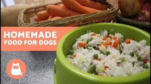 We did not find results for: Why Is My Dog Throwing Up Green Bile Causes And Treatment