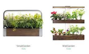 Ryan Woltz Is The Entrepreneur Behind Edn Garden A Dirt Less Garden Designed To Be Planted On A Wall Small City Garden Small Garden Compost Bin Indoor Garden