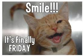 Image result for friday quote of the day funny