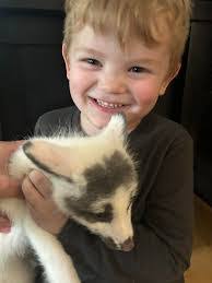 Diane Kucinski's Instagram, Twitter & Facebook