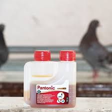 Pantonic