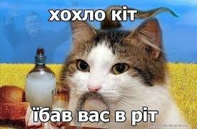 images?q=tbn:ANd9GcS9oaFro_4lY7XL2xnzCYo