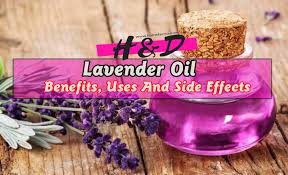 Let's look in more detail at the many reasons to use lavender use lavender oil with coconut oil as a hair conditioner to add shine and body to your hair. Benefits Of Lavender Oil Hair And Skin Secrets