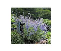 Follow these tips to design your home. Utah Landscaping Better Homes Gardens