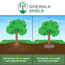 Tree Root Barrier Sidewalk Shield