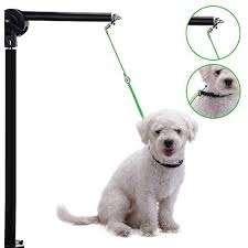 Pet Dog Grooming Leash Unit Wire Rope Cable Adjustable Grooming Table Arm Controller Leads For Small Medium Dogs Cats Green S Medium Dogs Dog Cat Cat Greens