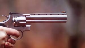 Image result for California Red 1987 Colt