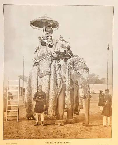 The famous Elephant, Lutchman Porshad, aged 77, on which Their Excellencies Lord and Lady Curzon rode in the Procession at the Dolhi Durbar - 1903