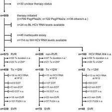 Flow Chart Of Patients Recruited In The Hcv Genotype 2 3