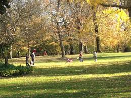 Image result for parque