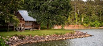 Entire cabin · 2 guests · 1 bed · 1 bath. Lake Livingston State Park Texas Parks Wildlife Department