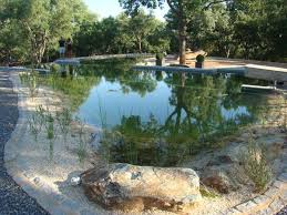 Natural Swimming Pools Natural Swimming Ponds Natural Swimming Pools Swimming Pools