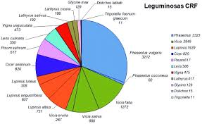 Image result for Dolichos angustifolius