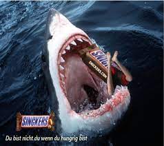 We did not find results for: Snickers Werbung Info Blog