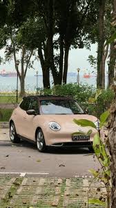 Image result for Gardenia 2011 MiTo