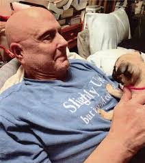 Hamid Kashani's Instagram, Twitter & Facebook