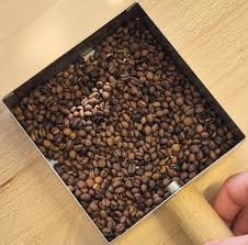 Image result for Coffea racemosa