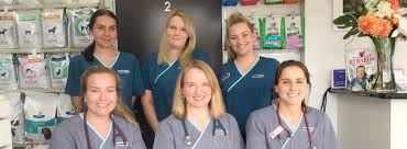 This project involved the creation of an online teaching tool to demonstrate the steps involved in performing numerous basic and more advanced surgical procedures taught in our veterinary program. Monier Veterinary Clinic Darra Qld