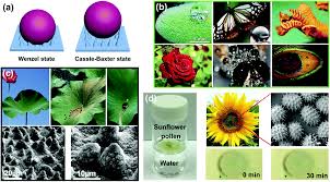 We did not find results for: New Insights And Perspectives Into Biological Materials For Flexible Electronics Chemical Society Reviews Rsc Publishing
