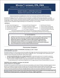 professionally written resume examples