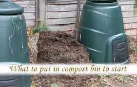 We did not find results for: What To Put In Compost Bin To Start A Shovel Load Of Dirt Rolypig