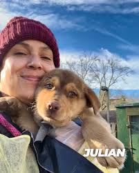 🚐🐶 Let's give a big welcome to our newest friends from Alabama! This  morning, 23 dogs and puppies arrived from our partner @friendsofsylacauga  and they are ready to meet you. Sylacauga Animal
