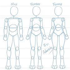 How To Distinguish Body Types [Digigrade] by AAMP -- Fur Affinity [dot] net