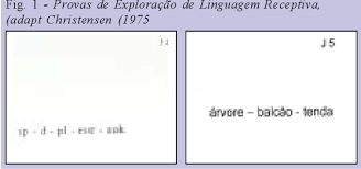 As pessoas com ap podem perder a capacidade de falar ou manifestar alterações da articulação das palavras. Afasia Progressiva Primaria De Tipo Nao Fluente Semantic Scholar