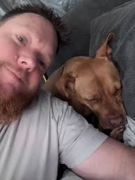 Indiana and Michigan Search Trip Costs