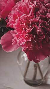 Pin By Anahid On Illyustracii Beautiful Flowers Wallpapers Flower Phone Wallpaper Flowers Photography
