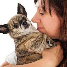 Veronica Hampton (@vrdances)