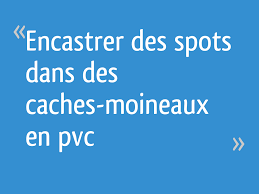 Découvrez tous nos accessoires pour attirer et prendre soin des oiseaux du jardin et notre sélection de nourriture : Encastrer Des Spots Dans Des Caches Moineaux En Pvc 6 Messages