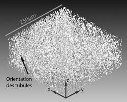 En « installant » la. Approche Analytique Pour L Etude Des Ivoires Archeologiques Les Defenses D Elephant Du Site De Jinsha 1200 650 Bc Sichuan Chine