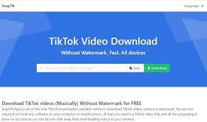 Using tiktok downloader, you can easily download tiktok video without a watermark or song in mp3 format at the best quality with high download speed. Tiktok Downloader Download Tiktok Videos Zonder Watermerk Snaptik