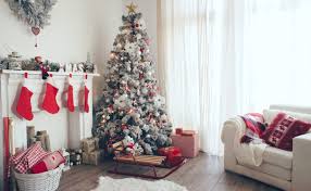 Como decorar guia de luces de navidad utilizando botellas plasticas recicladas. 4 Tipos De Plantas Para Decorar Tu Casa En Navidad Decoracion Navidena