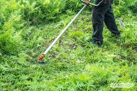 Nie mehr unkraut im rasen entfernen ich habe. Verwilderten Garten Neu Gestalten So Einfach Geht S Mit Der Permakultur