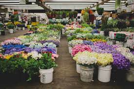 Maybe you would like to learn more about one of these? How To Shop The La Flower Market