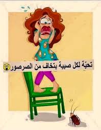 Desertrose تحية لكل بنت تخاف من الصرصور Arabic Funny Funny Jokes Funny Pictures