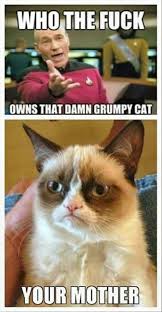 Yo Mama Grumpy Cat Grumpy Cat Meme Grumpy Cat Humor