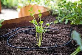 Smart water management is the only way to healthy, happy plants and trees. How To Install A Soaker Hose In Your Vegetable Garden Hgtv