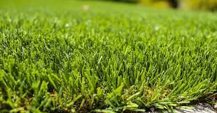 High Quality Artificial Grass