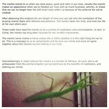 This Praying Mantis Was In My Living Room Today Symbolic Of Rest Calm And Peace Spiritual Meaning Spirit Guides Animal Spirit Guides