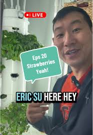Erick Grow A Garden