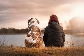 Check spelling or type a new query. Dia Del Perro La Historia De Chonino Por La Que Se Celebra Al Mejor Amigo Del Hombre En La Argentina La Nacion