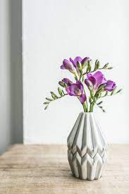 There Are So Many Different Types Of Flowers From Around The World This List Offers Some Of The Most Pop Freesia Flowers Flowers Photography Beautiful Flowers