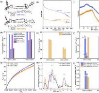 Sub-nanoconfined selective transport and competitive ...