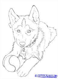 How to draw a siberian husky free printable worksheet (how to draw worksheets for young artist). How To Draw Huskies Draw A Husky Step 24 Animal Drawings Husky Drawing Puppy Drawing Easy