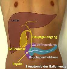 Laufen/ joggen dauert meist eine woche. Gallenblase Op Nurnberg Klinik Hallerwiese De