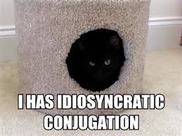 Image result for lolcats
